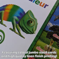 AGO En Francais Level 2 (Deluxe edition)