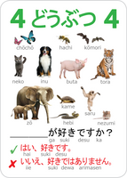 JGO Aqua Card game for Learning Japanese (2nd Edition)